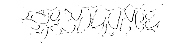 My Store logo